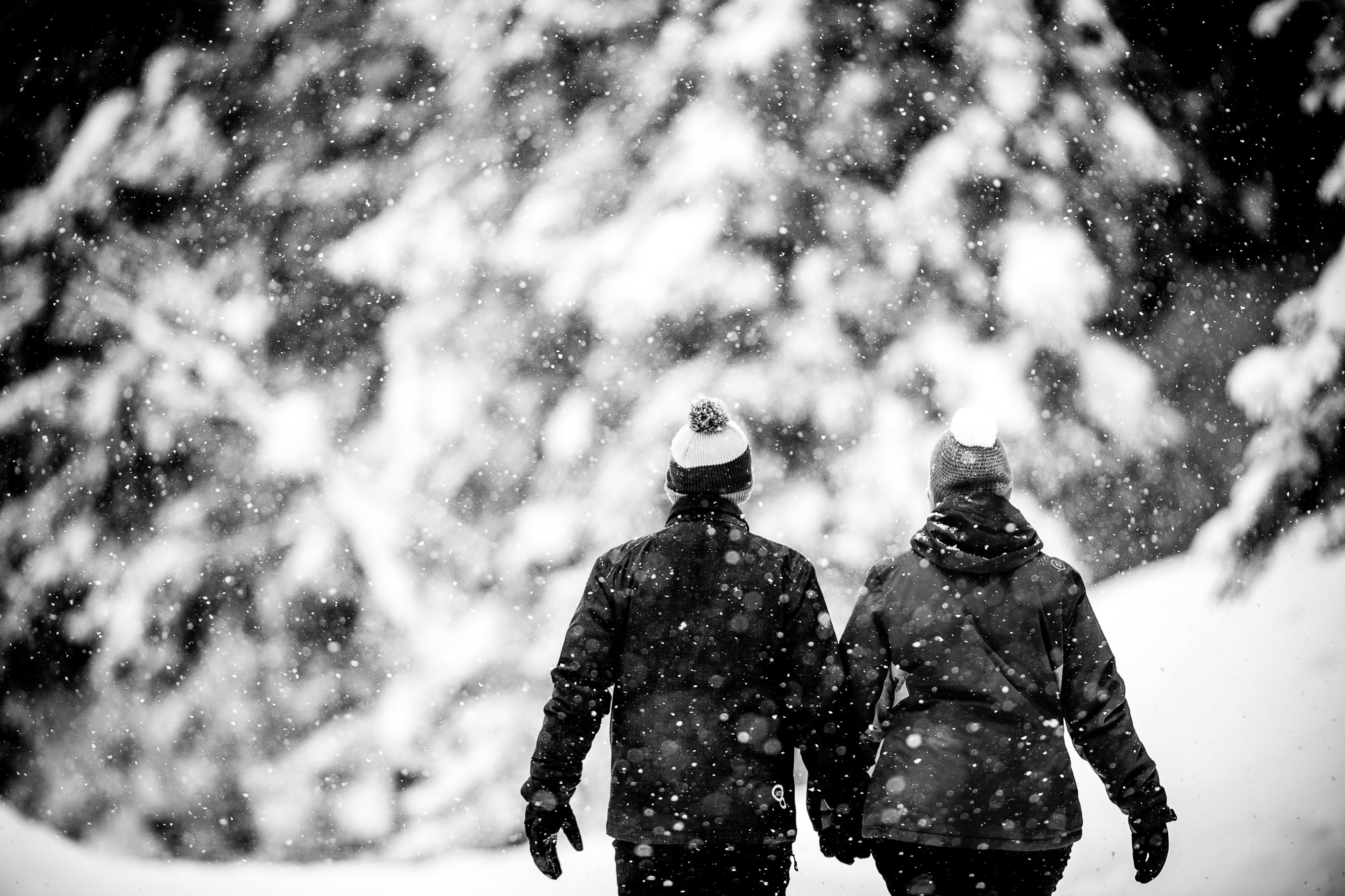 Export x3 1DX28950 Verlobungsfotoshooting 2018 Anna & Dominik